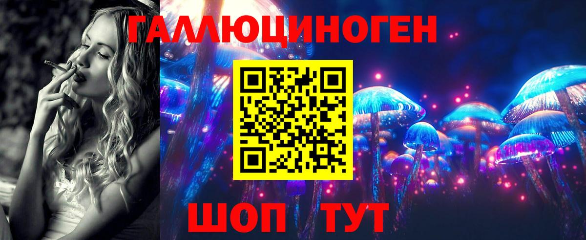 Галлюциногенные грибы Psilocybe  что такое   Гусиноозёрск  Псилоцибиновые грибы Psilocybe  Вход с VPN 