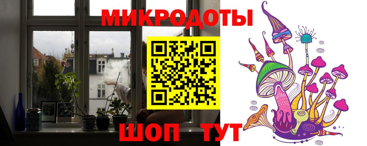 Псилоцибиновые грибы Cubensis Гусиноозёрск